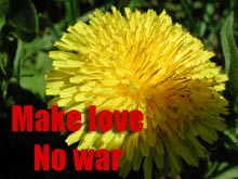 [Make love, no war]