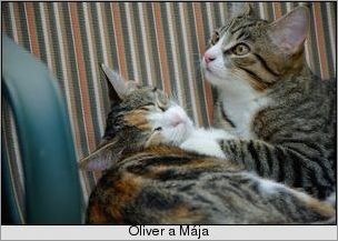 [Oliver a Mája]